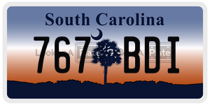 767BDI  license plate in SC