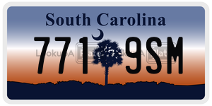 7719SM license plate in South Carolina