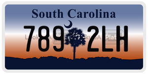 7892LH  license plate in SC