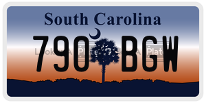 790BGW  license plate in SC