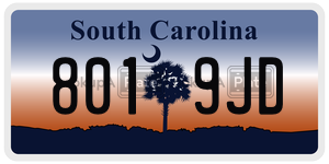 8019JD license plate in South Carolina