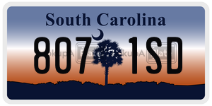 8071SD  license plate in SC
