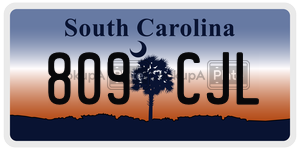 809CJL  license plate in SC
