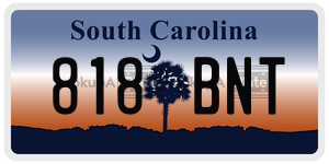 818BNT  license plate in SC