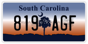 819AGF  license plate in SC
