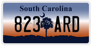 823ARD license plate in South Carolina