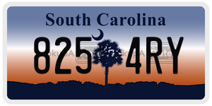 8254RY license plate in South Carolina