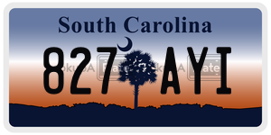 827AYI license plate in South Carolina