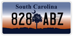828ABZ  license plate in SC