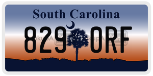 8290RF license plate in South Carolina