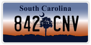 842CNV  license plate in SC
