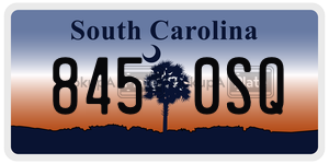 8450SQ  license plate in SC