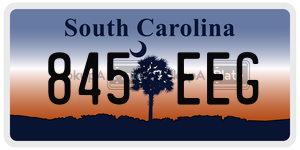845EEG  license plate in SC