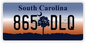 865DLQ  license plate in SC