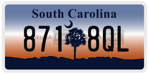 8718QL license plate in South Carolina
