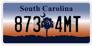 8734MT  license plate in SC