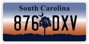 876DXV  license plate in SC