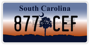 877CEF  license plate in SC