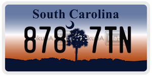 8787TN  license plate in SC