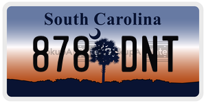 878DNT  license plate in SC