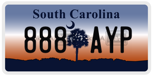 888AYP  license plate in SC