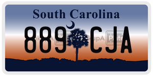 889CJA  license plate in SC