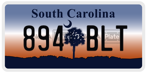 894BLT  license plate in SC