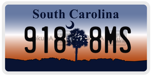 9188MS  license plate in SC