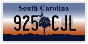 925CJL  license plate in SC