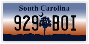 929BOI  license plate in SC