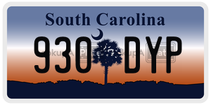 930DYP  license plate in SC