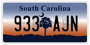 933AJN  license plate in SC
