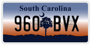 960BVX  license plate in SC