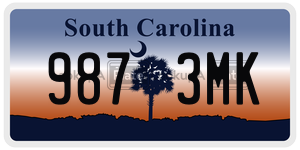 9873MK license plate in South Carolina