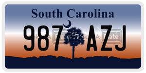 987AZJ license plate in South Carolina