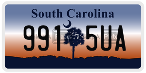 9915UA  license plate in SC