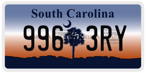 9963RY license plate in South Carolina