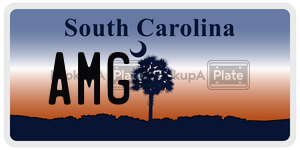 AMG  license plate in SC
