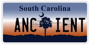 ANCIENT  license plate in SC