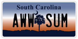 AWWSUM license plate in South Carolina