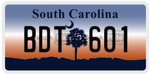 BDT601 license plate in South Carolina