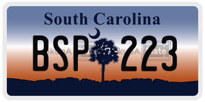 BSP223 license plate in South Carolina