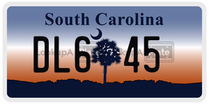 DL645 license plate in South Carolina