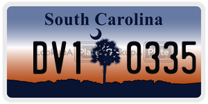 DV10335  license plate in SC