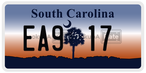 EA917  license plate in SC