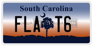FLAT6 license plate in South Carolina