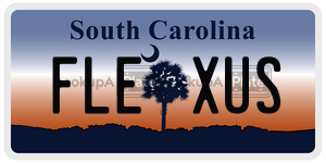 FLEXUS  license plate in SC