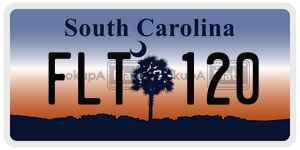 FLT120 license plate in South Carolina