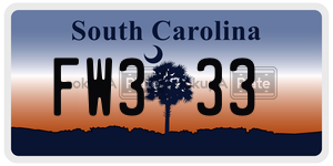FW333  license plate in SC
