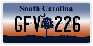 GFV226 license plate in South Carolina